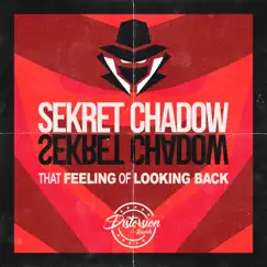 That Feeling of Looking Back - Single by Sekret Chadow album reviews, ratings, credits