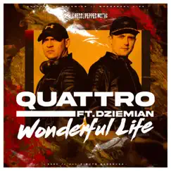 Wonderful Life (feat. Dziemian) [Extended Mix] Song Lyrics