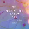 Something About You - Single album lyrics, reviews, download