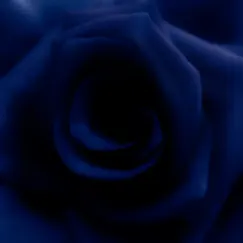 Blue Rose - Single by Kristian Major album reviews, ratings, credits