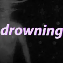 Drown1ng (feat. Sasha Lemon) - Single by Hop3 album reviews, ratings, credits