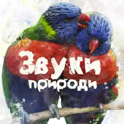 Волны позитивной энергии Song Lyrics