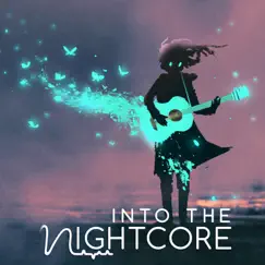 Into the Nightcore, Vol. 14 by Into The Nightcore album reviews, ratings, credits