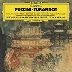 Puccini: Turandot - Highlights by Vienna Philharmonic, Katia Ricciarelli, Herbert von Karajan, Plácido Domingo, Barbara Hendricks & Ruggero Raimondi album reviews, ratings, credits