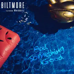 Feel Something Good - Single by Biltmore album reviews, ratings, credits
