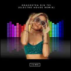 Dragostea din tei (Electro House Remix) Song Lyrics