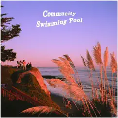 Upside Down - Single by Community Swimming Pool album reviews, ratings, credits