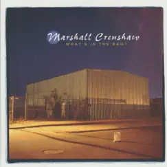 What's in the Bag? by Marshall Crenshaw album reviews, ratings, credits