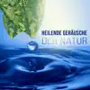 Heilende Geräusche der Natur - Tiefenentspannung Atmosphäre für Wellness & Regeneration, Ruhige Musik für Massage, Entspannungsmusik & Meditation album lyrics, reviews, download