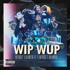 WIP WUP Song Lyrics