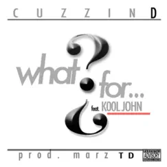 What For? (feat. Kool John) - Single by Cuzzin D album reviews, ratings, credits