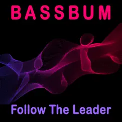 Follow the Leader - Single by Bassbum album reviews, ratings, credits