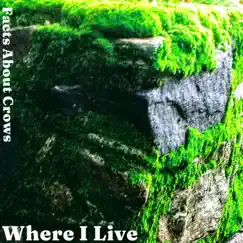 Where I Live - Single by Facts About Crows album reviews, ratings, credits