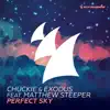 Perfect Sky (feat. Matthew Steeper) - Single album lyrics, reviews, download