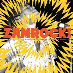 Welcome to Zamrock! How Zambia's Liberation Led to a Rock Revolution, Vol. 1 (1972-1977) by Various Artists album reviews, ratings, credits