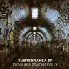 Subterranea (Hard Mix) [feat. DevilM & Psychedelix] song lyrics