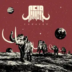 Caravan by Acid Mammoth album reviews, ratings, credits