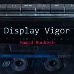 Display Vigor Song Lyrics