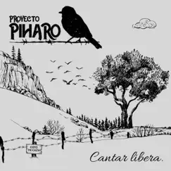 Cantar Libera by Proyecto Píharo album reviews, ratings, credits