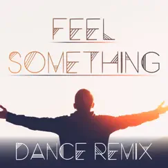 Feel Something (Extended Dance Remix) Song Lyrics