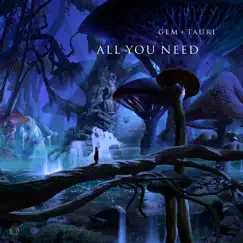 All You Need (feat. Fiora) Song Lyrics
