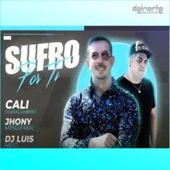 Sufro Por Ti Feat. Jhony Mendizabal - Single by Dj Luis Nieto, Reggaeton Latino & Jhony Mendizabal album reviews, ratings, credits