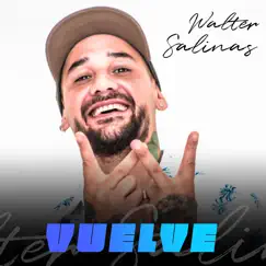 Vuelve - Single by Walter Salinas album reviews, ratings, credits