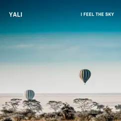 I Feel the Sky - Single by Yali album reviews, ratings, credits