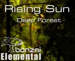 Deep Forest (Tribal Remix) Song Lyrics
