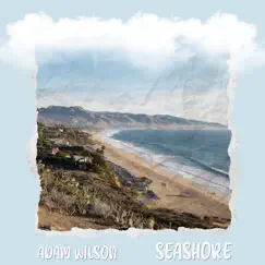 Seashore - Single by Adam Wilson album reviews, ratings, credits