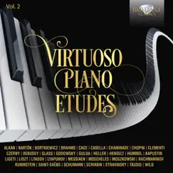 Variations on a Theme of Chopin, Op. 22, Var. 10: XI. Piu Vivo Song Lyrics