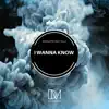 I Wanna Know (feat. Villa) - Single album lyrics, reviews, download