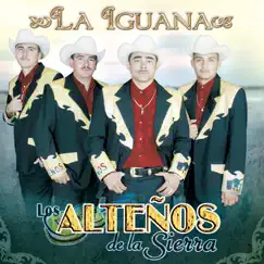 La Iguana (Version Ranchera) Song Lyrics