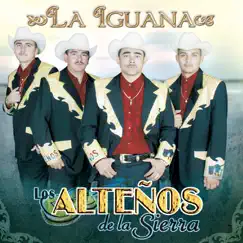 Quisiera Ser una Lágrima (Version Ranchera) Song Lyrics