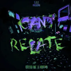 Can't Relate (feat. Koppo) [Slowed] Song Lyrics