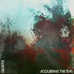 Acquiring the Bag by North album reviews, ratings, credits