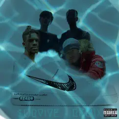 SURVIVE (feat. ilo, Iceboy & Oswaldvv) [Remix] - Single by Aveblacky album reviews, ratings, credits