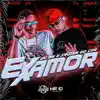 Ex Amor (feat. MC DU do MS) - Single album lyrics, reviews, download