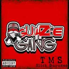 Tms - Single by Slick Guruzee album reviews, ratings, credits