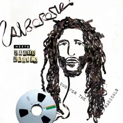 Alborosie Meets Roots Radics: Dub for the Radicals by Alborosie album reviews, ratings, credits