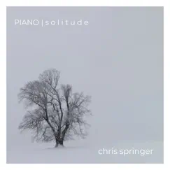 Piano Solitude by Chris Springer album reviews, ratings, credits