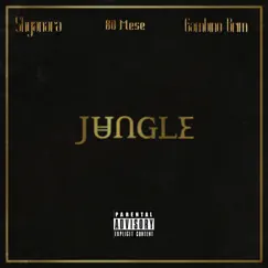 Jungle (feat. 80 Mese & Gambino Brim) Song Lyrics