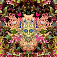 Carnival of Peculiarities - Single by Shpongle album reviews, ratings, credits