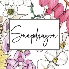 Snapdragon Song Lyrics