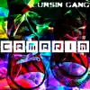 Camarim - Single album lyrics, reviews, download