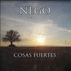 Cosas Fuertes - Single by Nego album reviews, ratings, credits