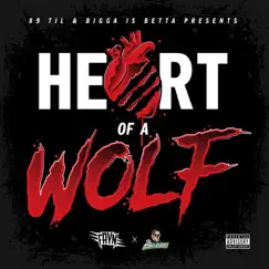 Heart of a Wolf by Fayn & DJ Seizure album reviews, ratings, credits