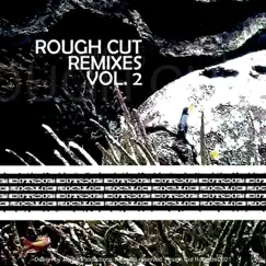 Rough Cut Remixes Vol. 2 - EP by Various Artists album reviews, ratings, credits