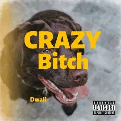 Crazy Bitch - Single by Dwall album reviews, ratings, credits