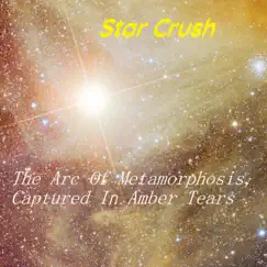 The Arc of Metamorphosis, Captured In Amber Tears Song Lyrics
